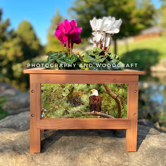 Eagles Planter