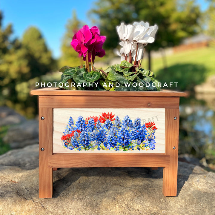Texas Bluebonnets Planter