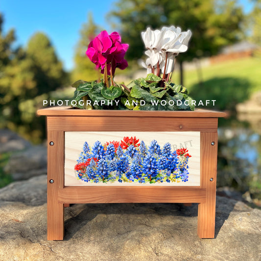 Texas Bluebonnets Planter