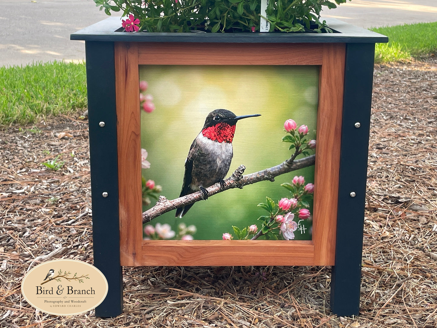 Design Your Own Cedar Planter