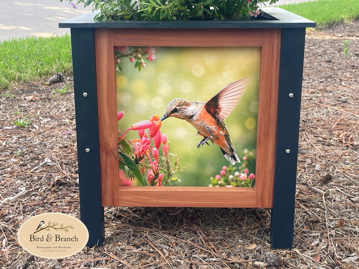Design Your Own Cedar Planter