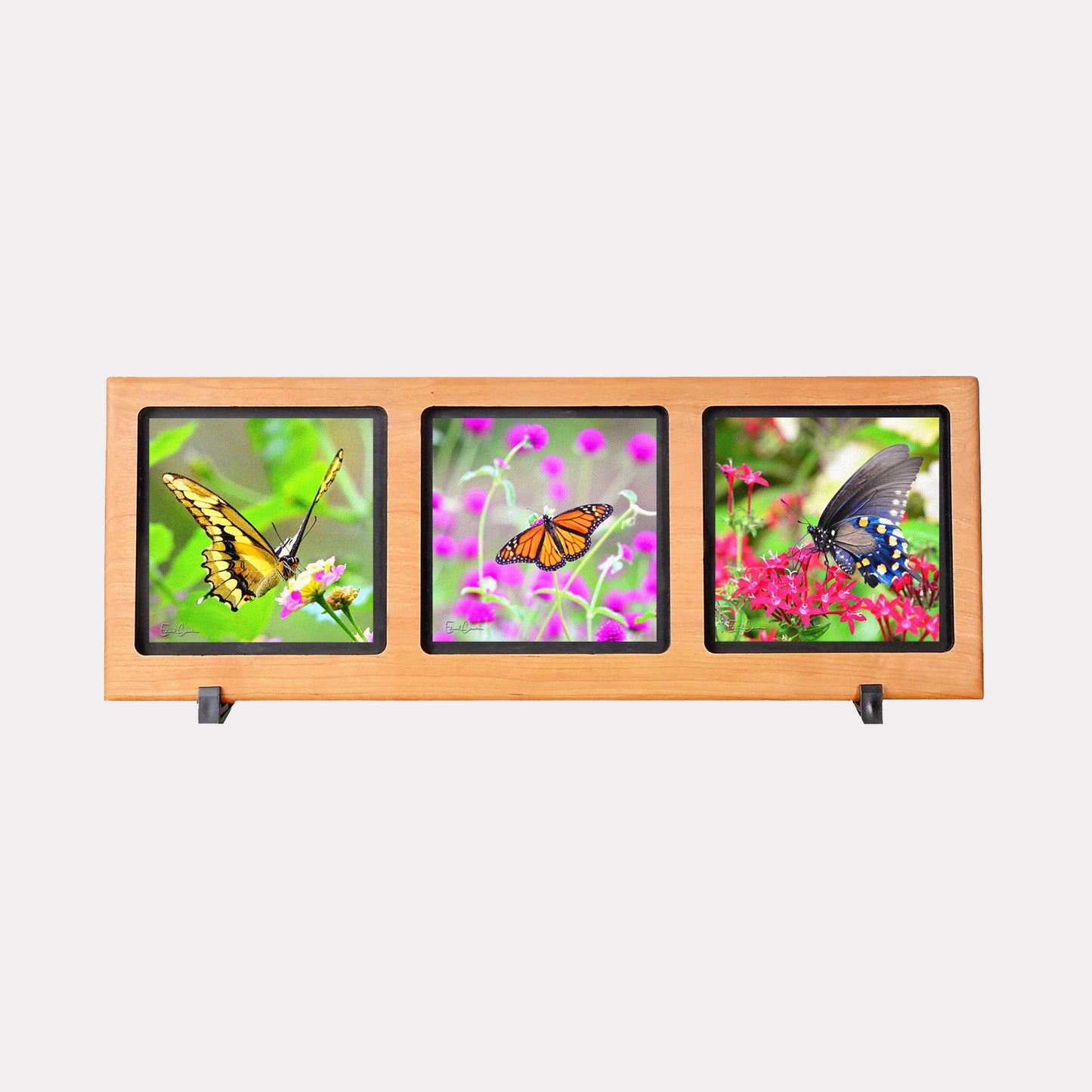 3-Panel Solid Frame with Butterflys.