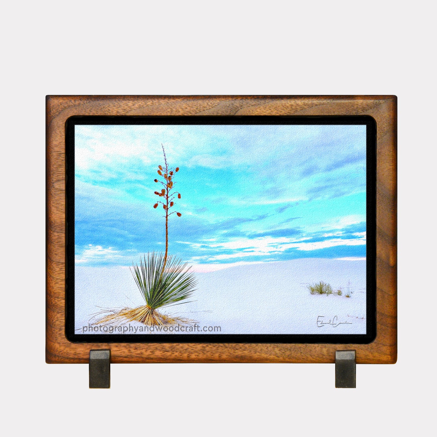 5" x 7" Desert Yucca. Canvas Print in Solid Wood Floating Frame