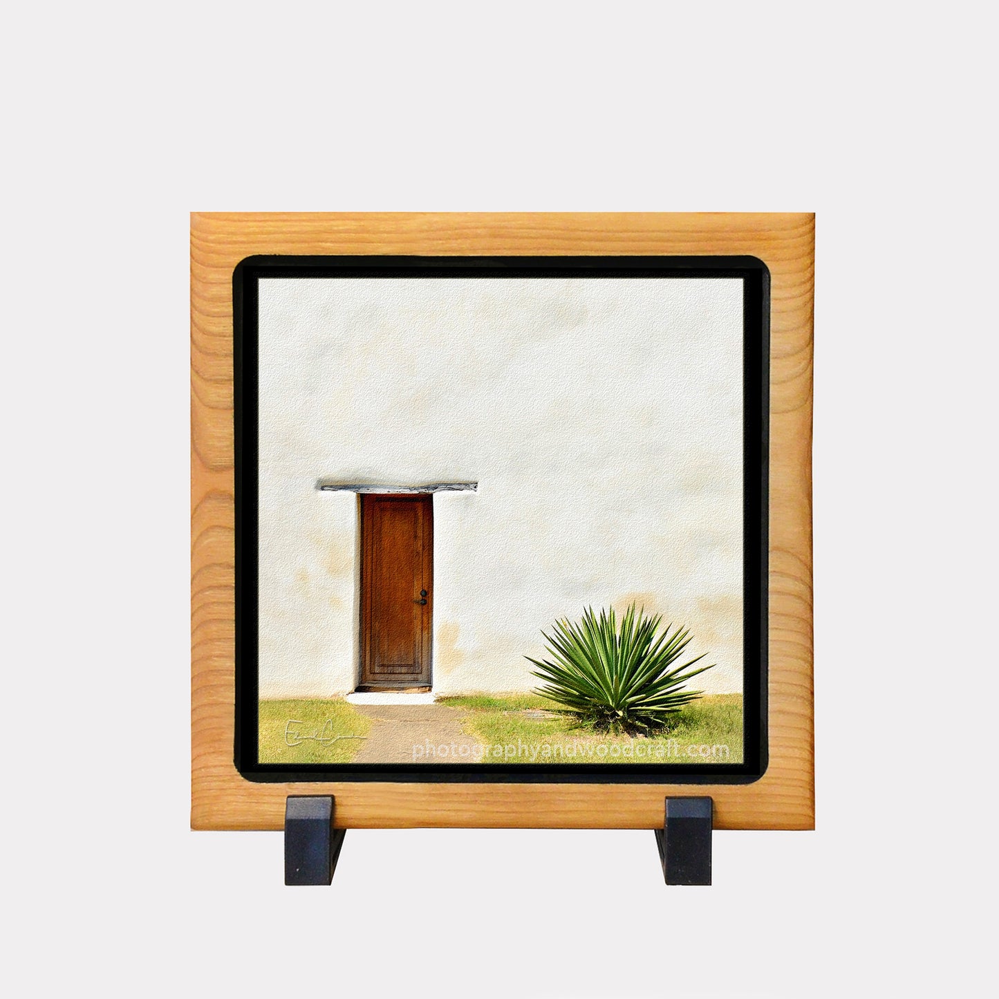5" x 5" Door with Yucca. Canvas Print in Solid Wood Floating Frame
