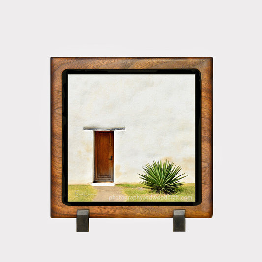 5" x 5" Door with Yucca. Canvas Print in Solid Wood Floating Frame