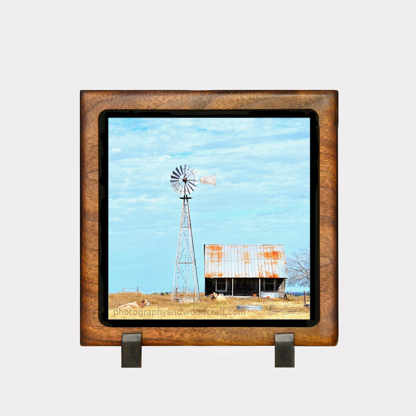 5" x 5" Homestead. Canvas Print in Solid Wood Floating Frame