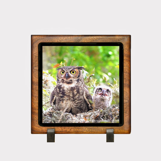 5" x 5" Horned owls. Canvas Print in Solid Wood Floating Frame