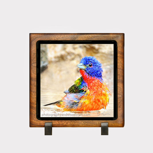 5" x 5" Painted Bunting. Canvas Print in Solid Wood Floating Frame