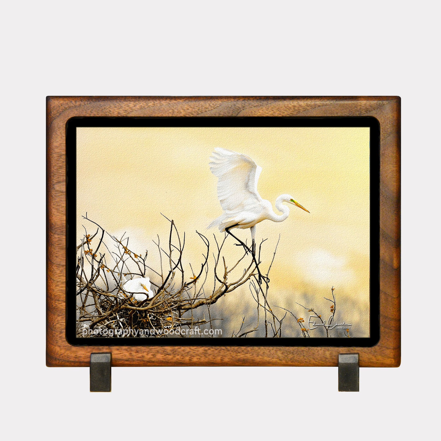 5" x 7" egrets. Canvas Print in Solid Wood Floating Frame