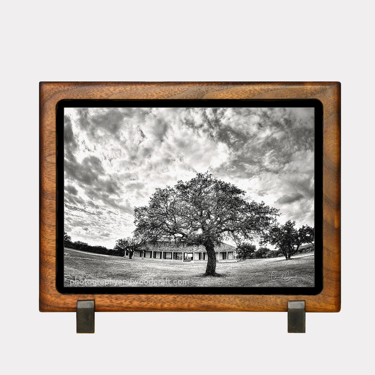 5" x 7" Tree at Fort McKavett, Texas. Canvas Print in Solid Wood Floating Frame
