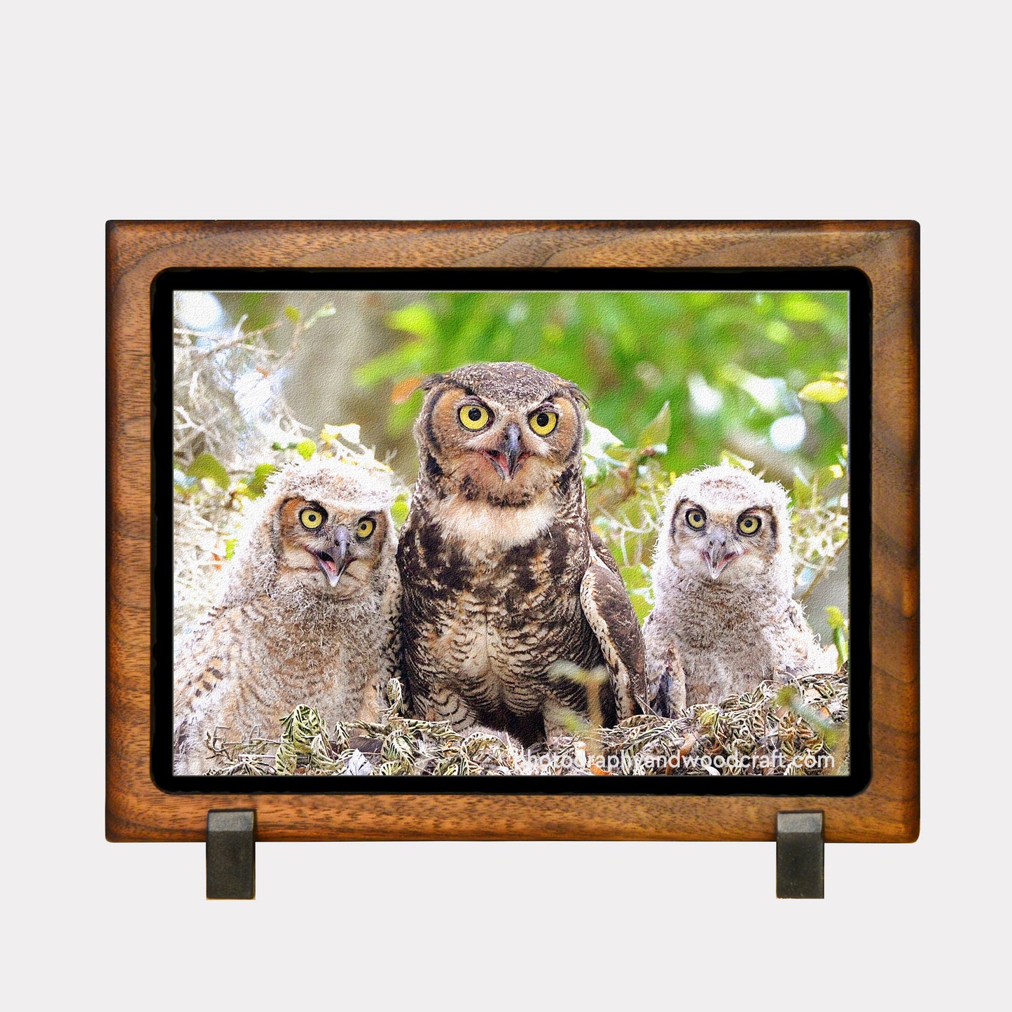 5" x 7" Owl family. Canvas Print in Solid Wood Floating Frame